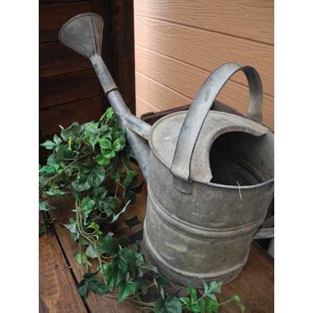 ジョーロ 【Antique Watering Can】 - naty garden